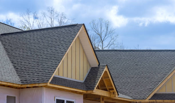 Best Emergency Roof Repair Services  in Mount Olive, NC